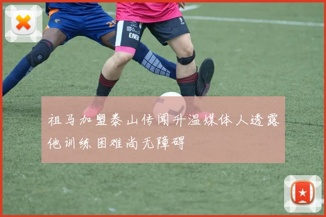 祖马加盟泰山传闻升温媒体人透露他训练困难尚无障碍