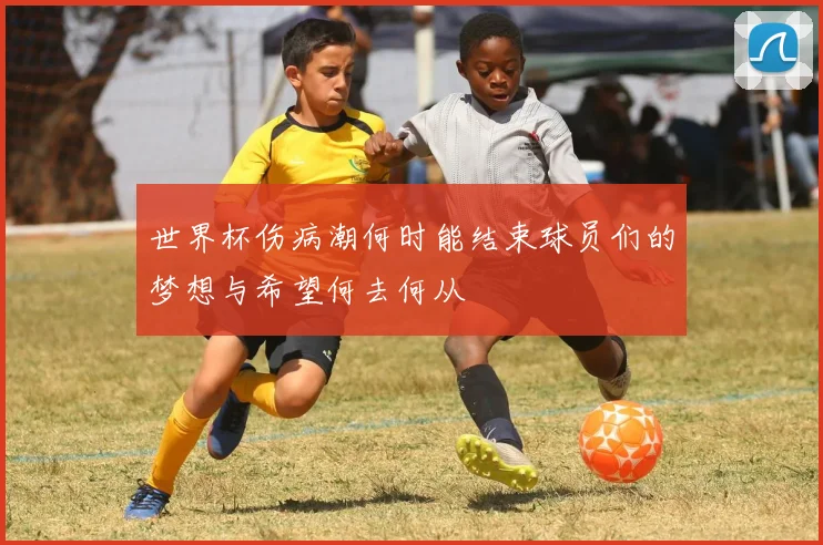世界杯伤病潮何时能结束球员们的梦想与希望何去何从