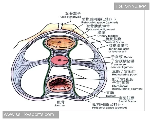 医生解析耻骨炎对亚马尔的影响及其过度使用损伤的成因与后果 医生解析耻骨炎对亚马尔的影响及其过度使用损伤的成因与后果